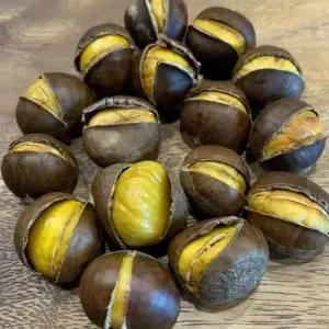 밤 칼집 약단밤 1kg