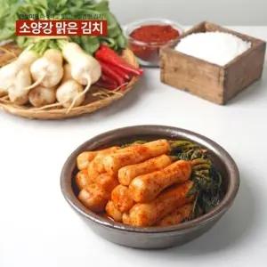 [소양강맑은김치] 우리 농산물로 만든 총각김치 5kg