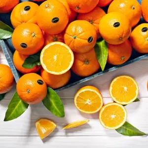 고당도 블랙라벨 오렌지 중소과 10kg (50-67개)