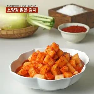 [신세계라이브쇼핑][소양강맑은김치] 우리농산물로 만든 깍두기 2kg