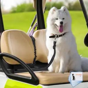 골프 카트용 도기 시트 목줄 카트 도그 하네스 벨트 개가 뛰어내리는 것을 막아 개 사고를 막습니다