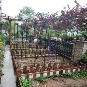 정원아치화분 넝쿨지지대 장미아치