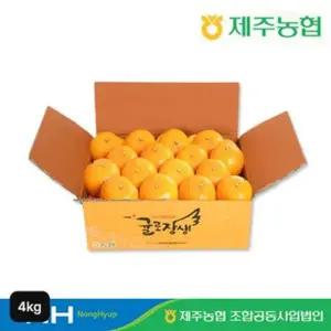 제주농협 귤로장생 한라봉 4kg
