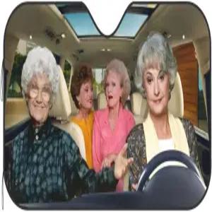 자동차 앞유리 커버를 위한 재미있는 윈드실드 선쉐이드 접이식 자외선 차단 실내 51 x 27.5인치