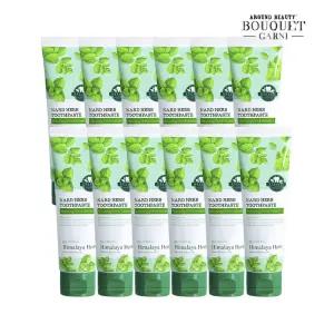 히말라야 허브 나드 구취 케어 치약 100g x12개