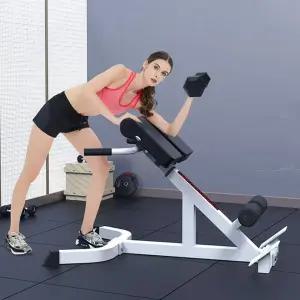 백익스텐션 허리 척추기립근 복근 액티브한 코어 척추