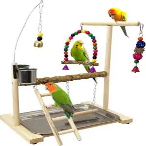 Tfwadmx 새 놀이터 앵무새 놀이 스탠드 새장 체육관 잉꼬 사다리 운동 코카투 러브버드 작은 코뉴어