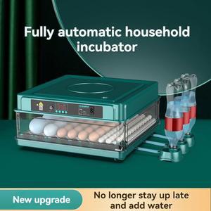 홀딩 휴대용 온열 기계 찜질기 마사지기 충격파 지압 팔꿈치 인큐베이터 기 빼는 루딘