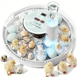 28개의 알을 부화시키기 위한 MeEF 인큐베이터 독립적인 분무 오토 플립 추가 장비 및 12개의 담을 수 있는