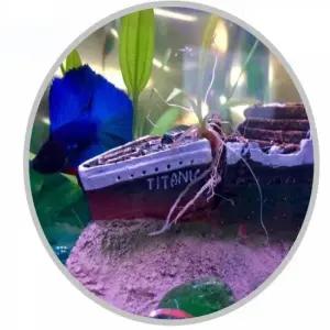 열대어은신처 수족관 배 장식 항구 꾸미기 장신구