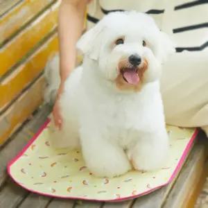 강아지산책매트 휴대용 애견피크닉매트 방수매트