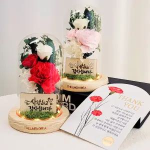 어버이날 카네이션 미스티 유리돔 무드등 선물 꽃조명