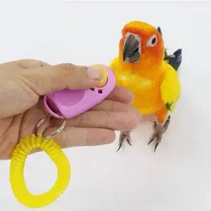 앵무새 주의 집중 훈련 클릭커 장난갑 조류 용품 강아지 애견 장난감 반려 동물 펫용품