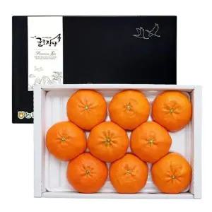 제주 레드향 선물세트 3kg