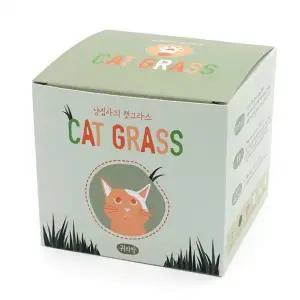 캣그라스키우기 고양이 식물 풀 캣글라스 캣잎 캣닢 캣닙 식물 귀리싹 화분 재배 키우기 키트