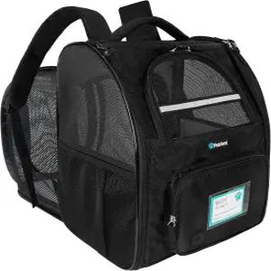 펫아미 반려견 고양이 백팩 캐리어 여행 하이킹용 확장형 반려동물 소형견 강아지 대형 휴대 항공사 승인