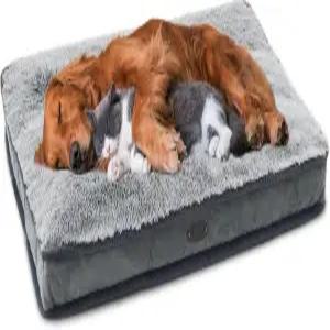 중형 소형견 품종을 위한 DEBANG 홈 도그 침대 디럭스 플러시 상자 편안한 애견 패드 반려동물 수면 매트