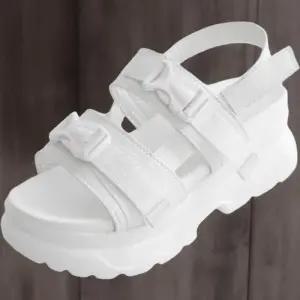 [신상오픈런]여성 독특한 다중 스트랩 버클 어글리 키높이 샌들 (34221950)