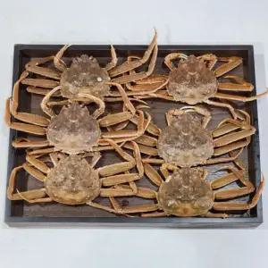 수입 활 빵게 암대게 1kg