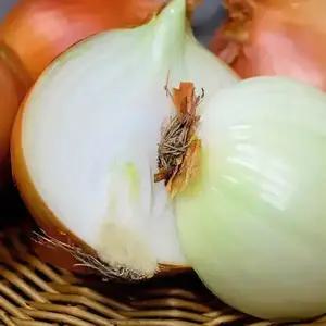 [아리팜] 25년 무안 햇양파 3kg, 5kg 등