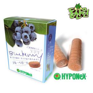 하이포넥스 블루베리 정제비료 전용비료