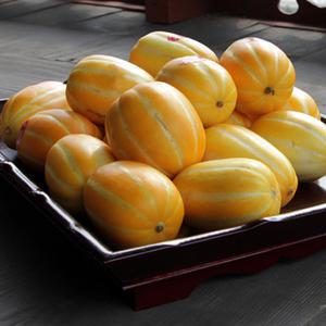 못난이 성주 참외 10kg 한박스 열과/기스/흠과/벌어짐 못난이지만 고당도