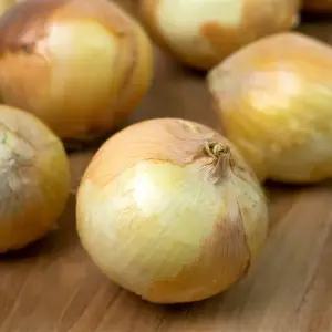 국내산 양파 3kg 특품