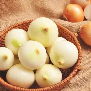 25년산 무안 깐양파 (특 270g이상)