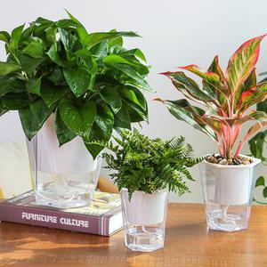 헥사곤 저면관수 플라스틱 자동 화분