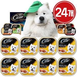 강아지 시저 캔 쇠고기와 치즈 1박스(24개)