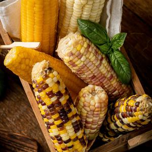 냉동 얼룩이찰옥수수 30개