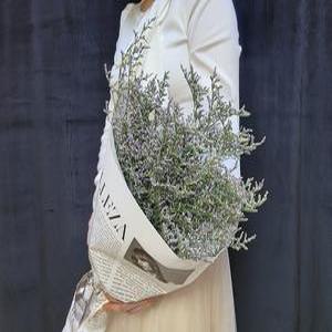 미스티블루 생화 정기구독 도매 절화 정기꽃배달 생화농장 오래가는꽃 양재꽃시장