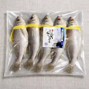 [금손월드] 저염 손질 반건조 민어굴비 민어 조기 1.5~2kg(5마리)