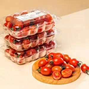 논산 산지직송 팜팜 스테비아 토마토 500g 2팩 4팩