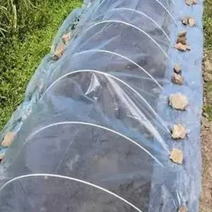 하우스 비닐 원예용 재배용 농자재 농업용 비닐 텃밭 보온 고강도 가정용 내구성 베란다 재단 투명 방수