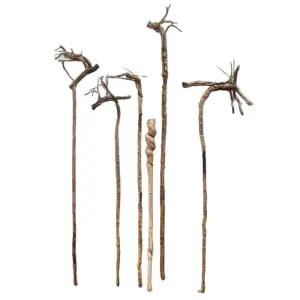 감태나무 장수 도사 장식 지팡이 연수목 등나무 스님