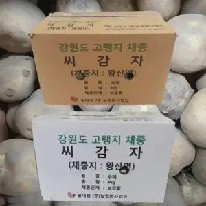 두백 씨감자 (정 품) 4kg 보급종(강원도)
