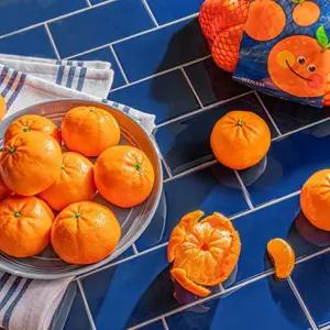 썬키스트 미국산 고당도 프리미엄 만다린 귤 감귤 로얄과 5kg, 10kg