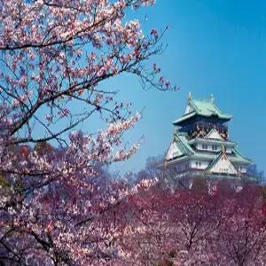 [돌아온 밤도깨비][왕복송영포함] 오사카 자유여행 2박 4일 #공항-호텔왕복송영포함 #크리스탈구로몬호텔 #시내중심숙박 #트윈룸 #조식포함