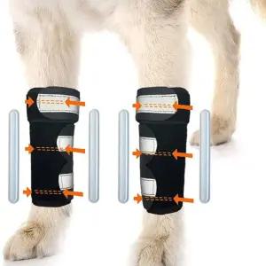 강아지 슬개골 보호대 앞다리 보조기 애견용품 세트