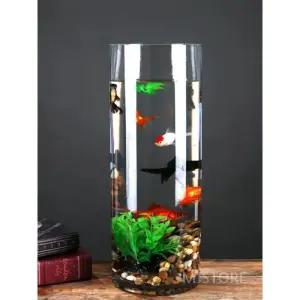 둥근 유리 어항 바닥지름 식물 열대어 키우기 원통 투명