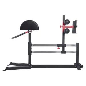 코어근육운동 허리 복근 기구 운동 백익스텐션 코어 옆구리 근육 기립근