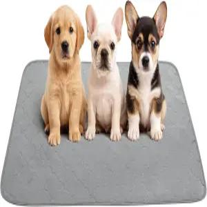 강아지 고양이 세척 가능한 소변 패드를 위한 미끄럼 방지 담요 반려동물 소파 커버 상자(그레이