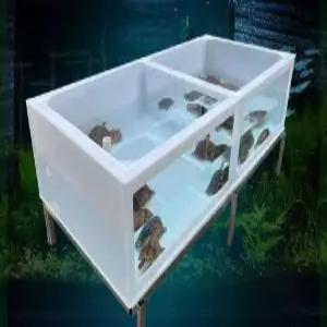 수조 베이지 투명 탱크 수족관 물고기 50x100x40cm 열대어 키우기 대형 집