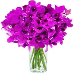 카블룸 꽃병을 든 20개의 보라색 난초의 궁극적인 꽃다발 생일 발렌타인데이 어머니의 날을 위한 신선한 꽃
