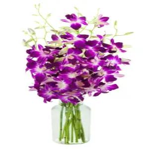 카블룸 보라색 선난초 꽃다발과 꽃병 생일 발렌타인데이 어버이날을 위한 신선한 꽃