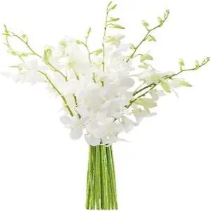 카블룸 프라임 익일 배송 가을 컬렉션 흰색 난초 10개의 세라픽 속삭이는 꽃다발 .생일 선물 감사합니다