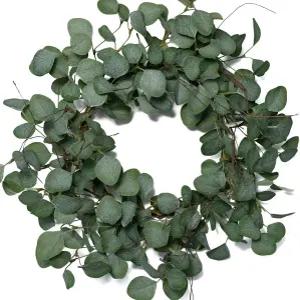 목가적인 유칼립투스 현관 장식을 위해 화환 금속 폴리에스터 패브릭 종이 원형 녹색 22인치 남깁니다