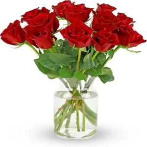 벤치마크 꽃다발 12줄기 붉은 장미유리 꽃병 포함 다음 날 배송을 위한 신선한 꽃 생일 기념일 쾌유 공감