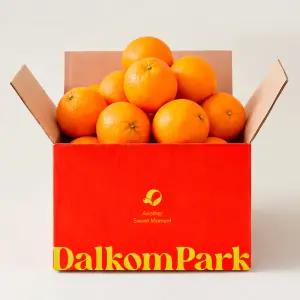 달콤파크 고당도 블랙라벨 오렌지 중/대과 2kg 내외 8-11개입